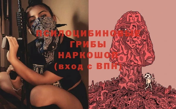 прущий лед Аркадак