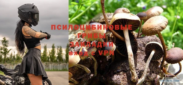 MESCALINE Арсеньев