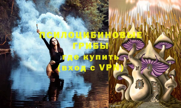 прущий лед Аркадак